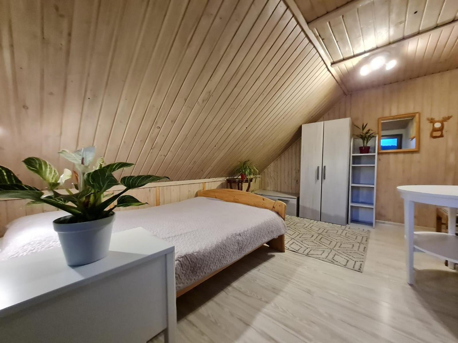 Koliba Nad Bialka Czarna Gora Bed and Breakfast Eksteriør billede