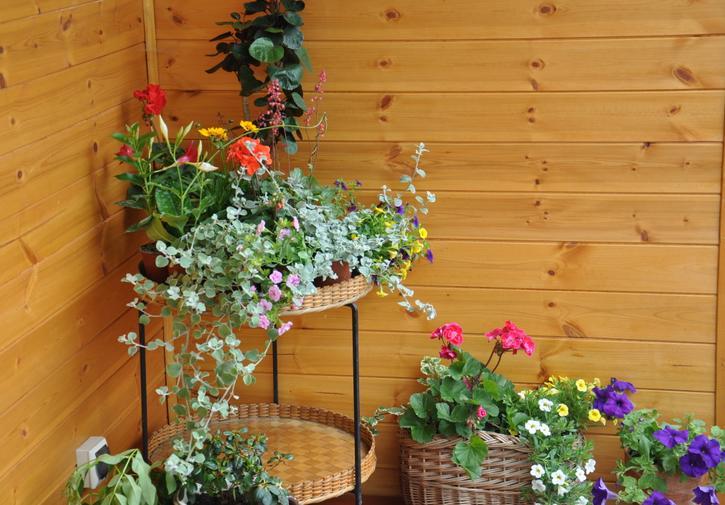 Koliba Nad Bialka Czarna Gora Bed and Breakfast Eksteriør billede
